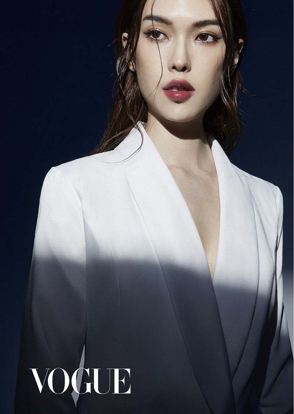 Official Models